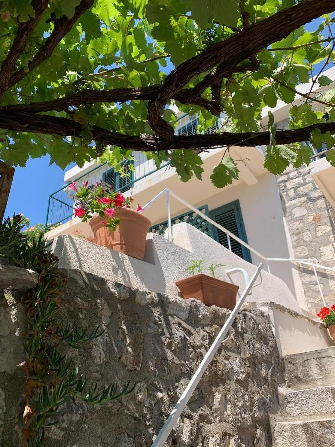 Boutique Saltaragazza Petrovac
