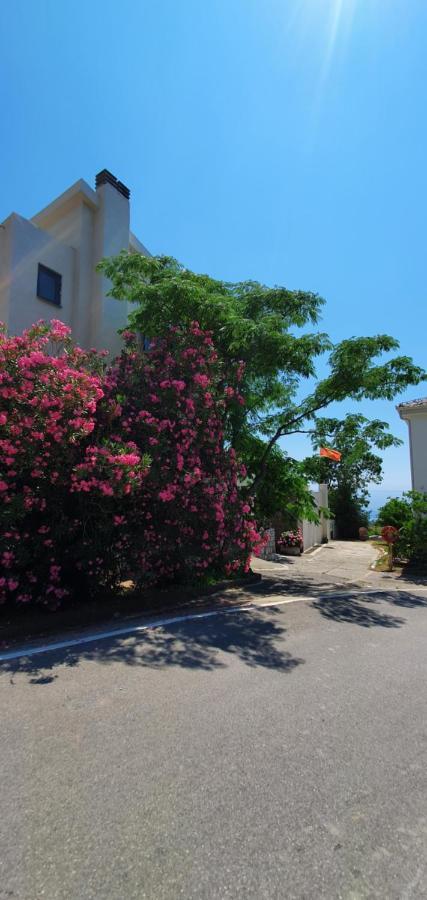 Boutique Saltaragazza * Petrovac na moru