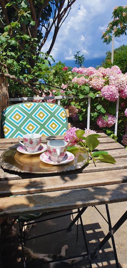 Boutique Saltaragazza Петровац