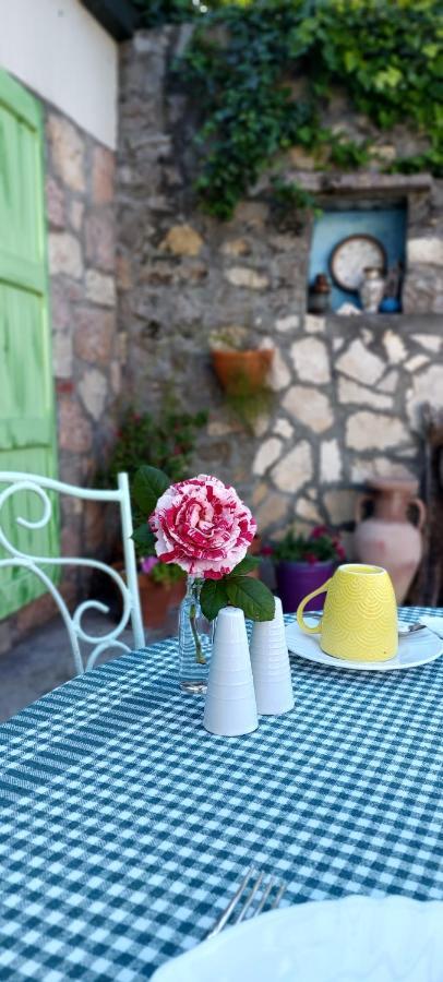 Apartment Boutique Saltaragazza *