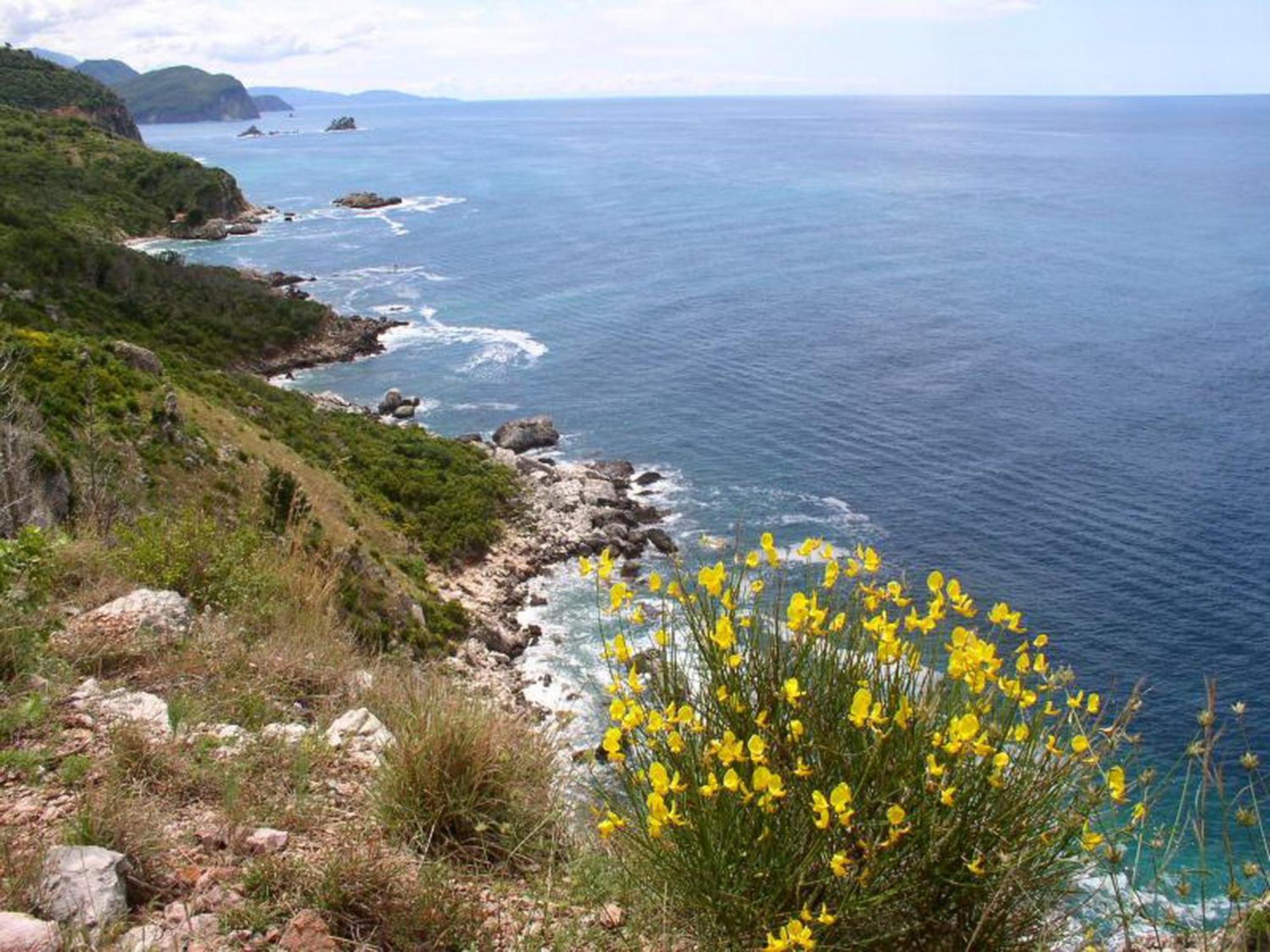 Apartment Boutique Saltaragazza Petrovac na moru
