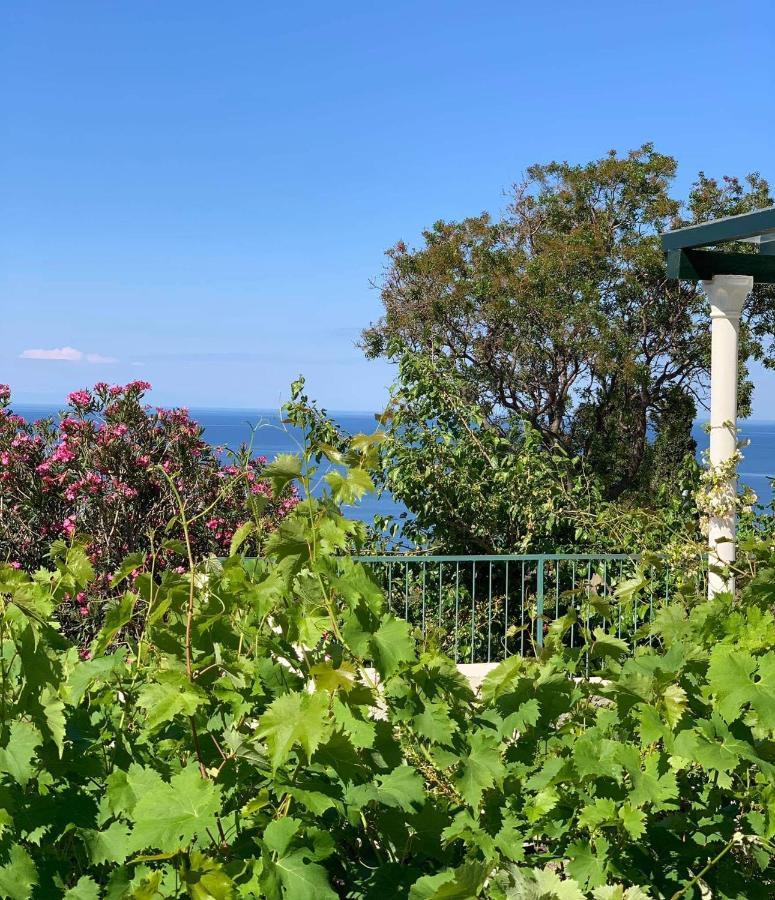 Apartment Boutique Saltaragazza Petrovac na moru